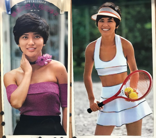 桜田淳子 カレンダー 1979年 魅惑の恋人 73×35cm 森一成撮影